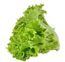 Лист салата