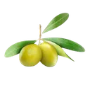 Оливки
