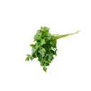 Петрушка