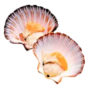 Запеченные гребешки